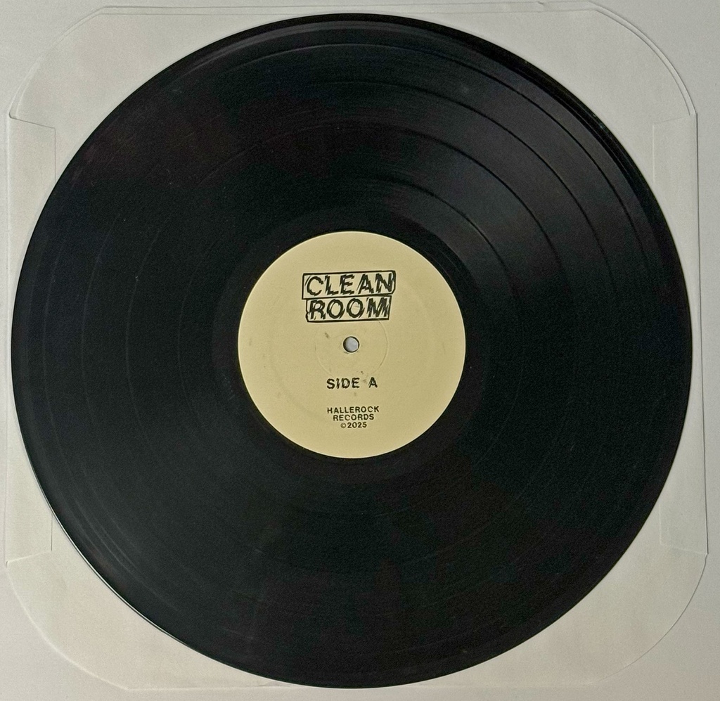 CLEAN ROOM SELF TITLED LP PRESENTED BY FLYING LOW SKATESHOP