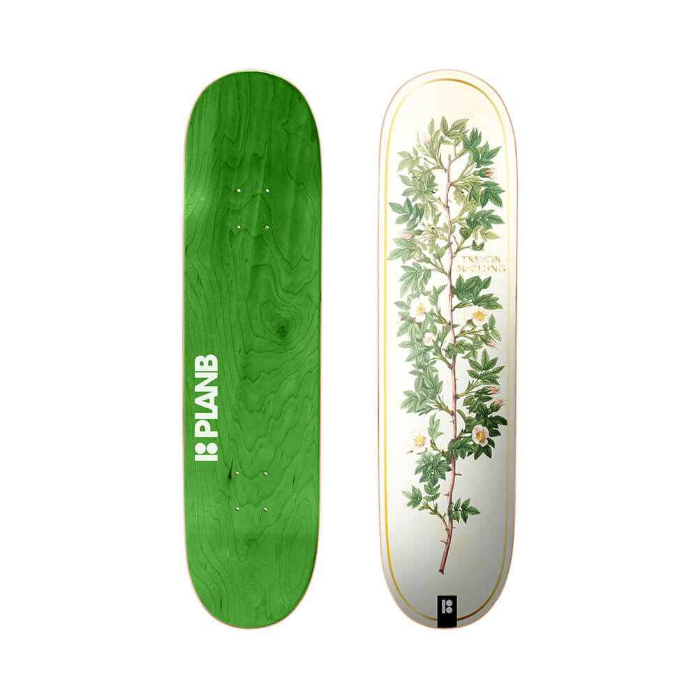 PLAN B MCCLUNG BLOOM DECK 8.0