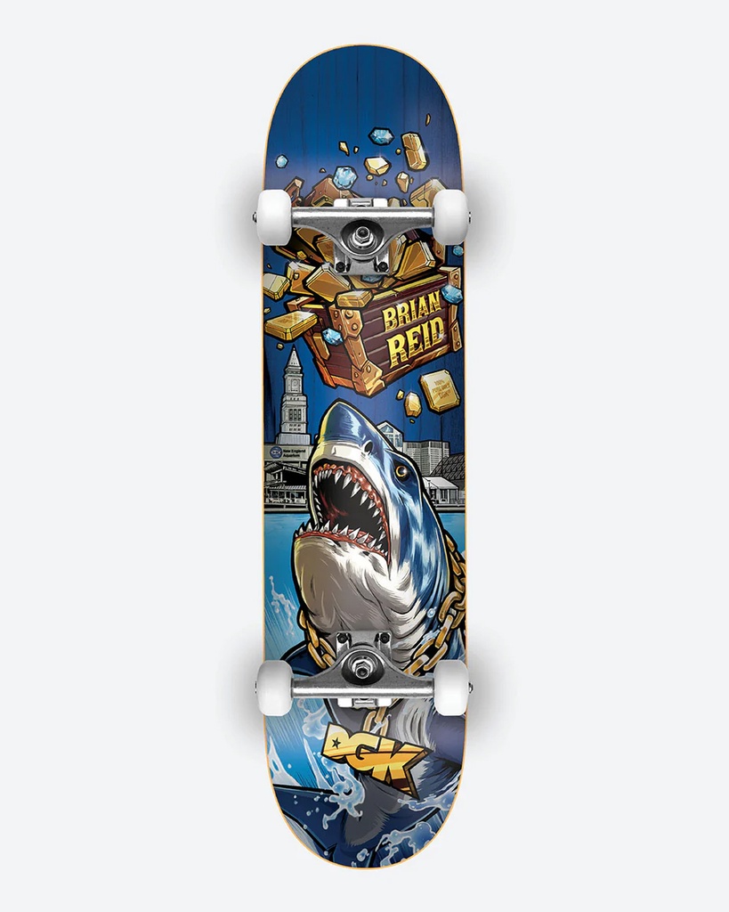 DGK REID TREASURES COMPLETE 8.06