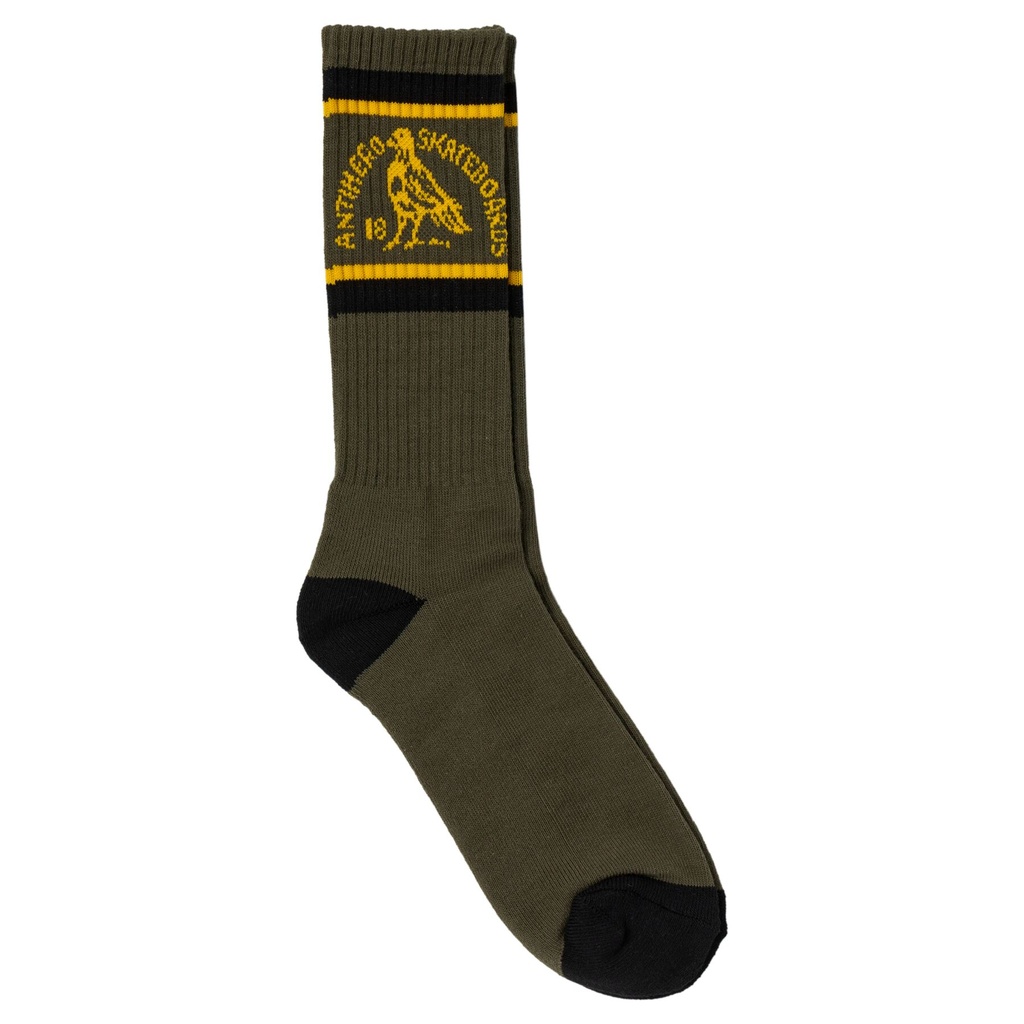 ANTI-HERO CLUBHOUSE SOCKS OLIVE/GOLD/BLACK