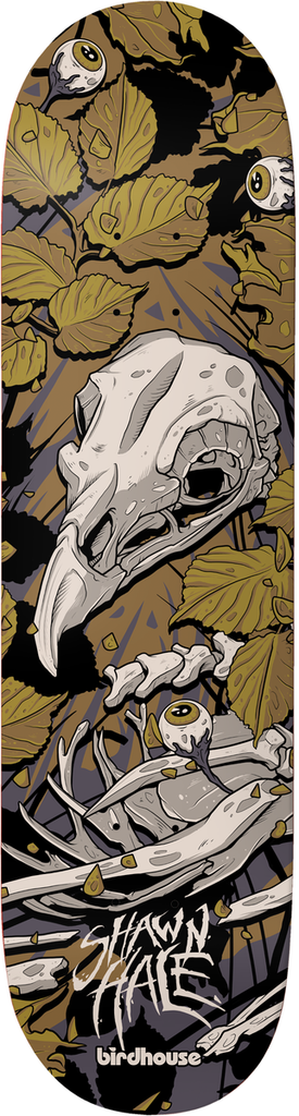 BIRDHOUSE SHAWN HALE TILLBROOK DECK 9.0