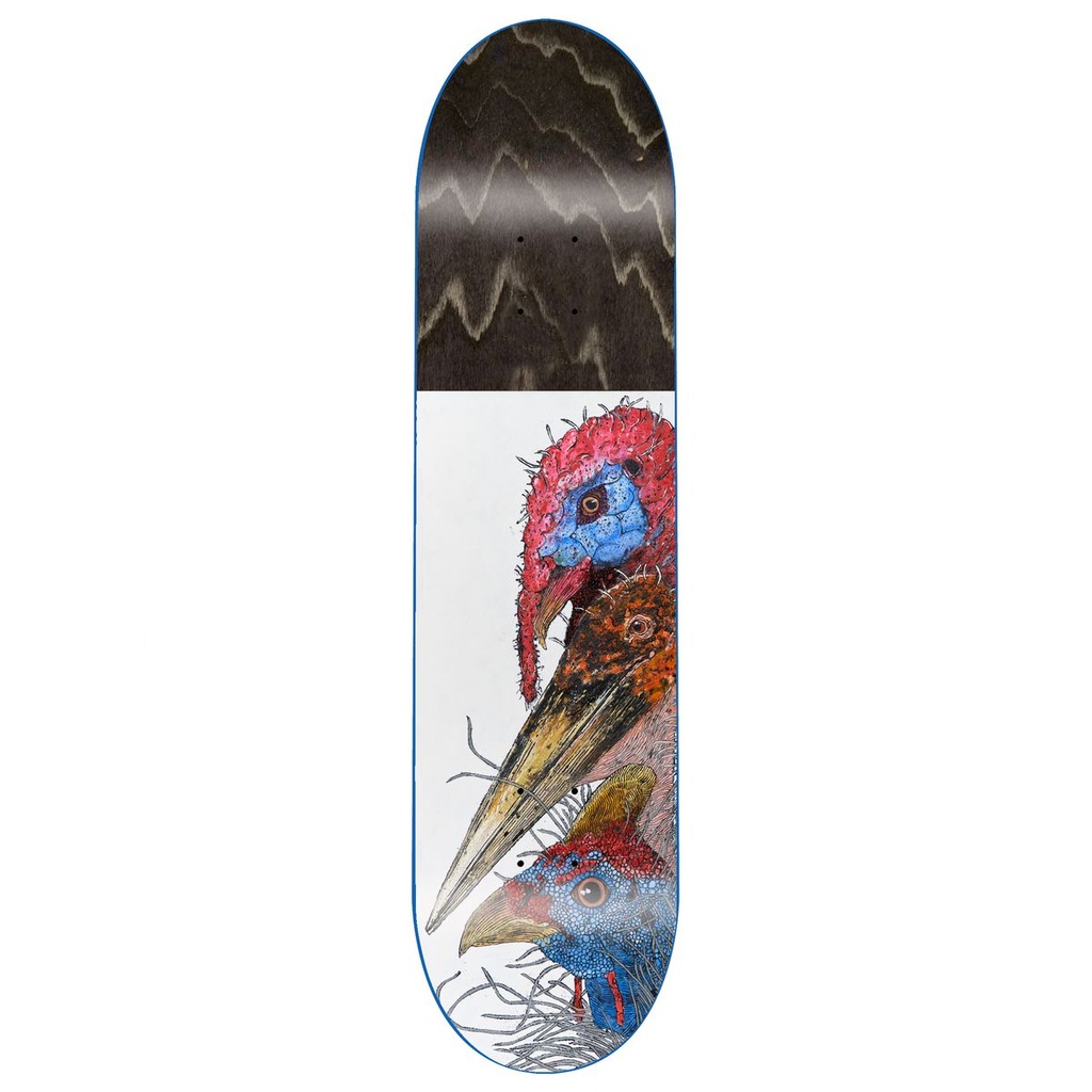 GX1000 TEAM BIRDS DECK 8.50