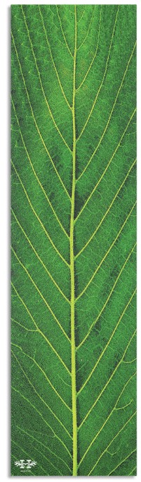 HABITAT LEAFLINE GRIP TAPE SHEET 9.00 X 33.00