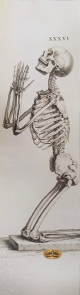 PVBLIC DOMAIN PENITENT PERFORATED GRIP TAPE SHEET 9.00 X 33.00