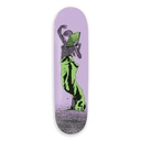 PASSPORT TEAM FAN DECK 8.38