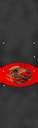 POWELL PERALTA  9" X 33" RED OVAL DRAGON SHEET