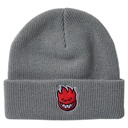 SPITFIRE BIGHEAD FILL CUFF BEANIE GREY