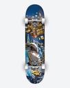 DGK REID TREASURES COMPLETE 8.06