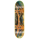 GX1000 TEAM GOLDEN GATE DECK 8.50