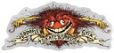 ANTI-HERO GRIMPLE EAGLE STICKER MD