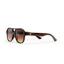 CHPO COCAS COFFEE SUNGLASSES