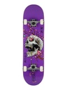 DGK ANCESTRY PURPLE COMPLETE 8.0