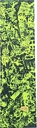 PVBLIC DOMAIN SCRATCH CLEAR PERFORATED GRIP TAPE SHEET 9.00 X 33.00