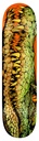 REAL ZION SWAMP PUPPY HEAVYWEIGHT DECK 8.28