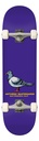 ANTI HERO PIGEON PURPLE COMPLETE 7.50