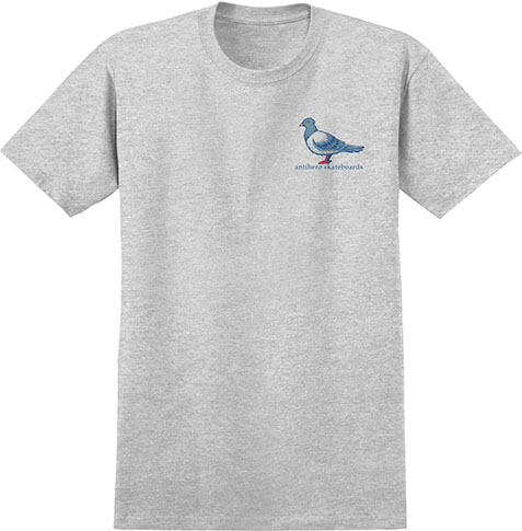 ANTI-HERO LIL PIGEON SPORT GREY/MULTI SS L